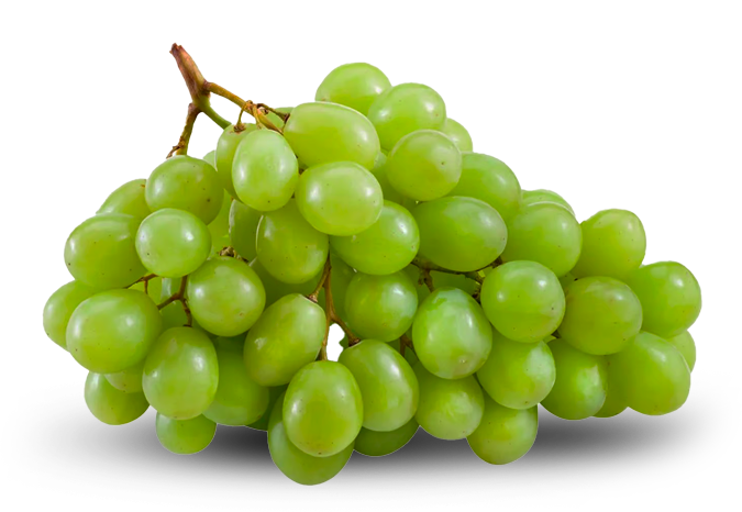 Uva